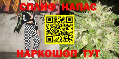 тгк Дубна