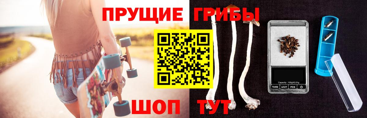Галлюциногенные грибы ЛСД  Псилоцибиновые грибы Magic Shrooms  Вход с VPN  Лениногорск 